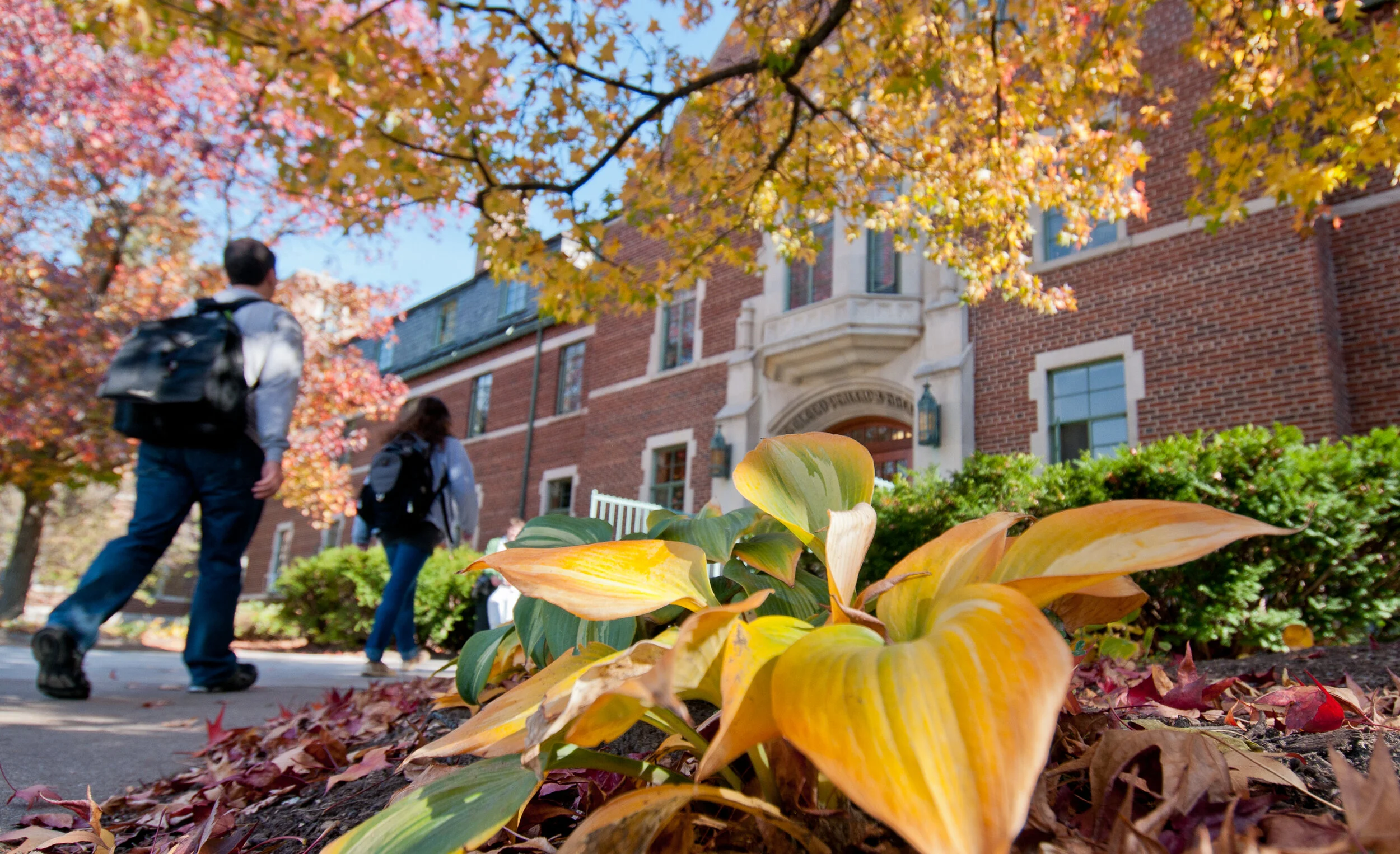 College students walk into a building on a college campus in the fall.
